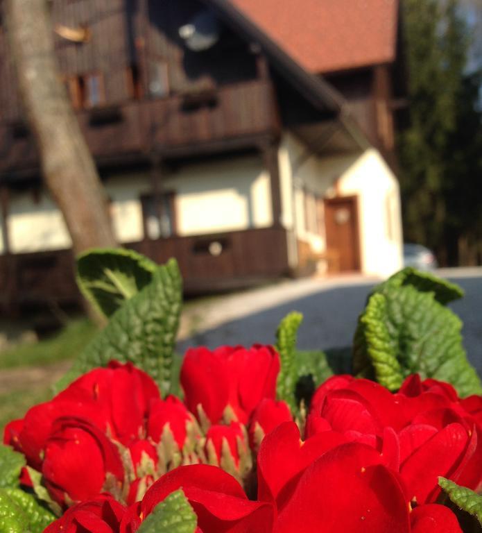 Pomona Relaxing Nature Rogaska Slatina